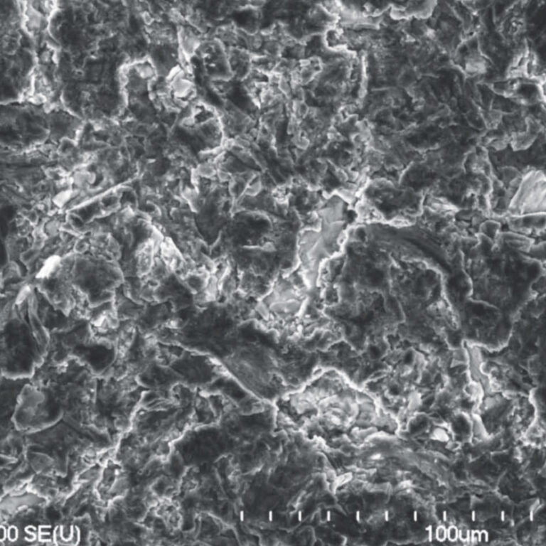 Callus implantátumok felületi mikrostruktúrája 
(MPS, SEM 500x)